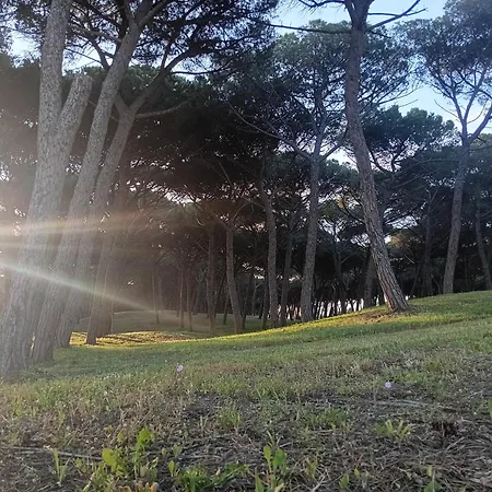 Διαμέρισμα Lovely House Tra Pineta E Mare *